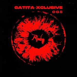 Gatita Xclusive (feat. Ynr.Rivers)