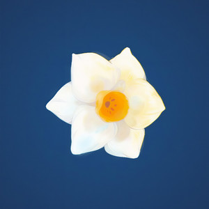 分裂症－a∈A－