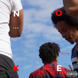 Too Much (Explicit)