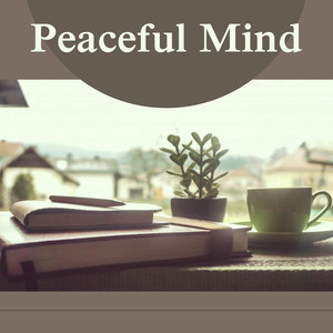 Peaceful Mind – Best New Age Music to Study, Focus on Task, Learning Fast, Music to Help You with Homework