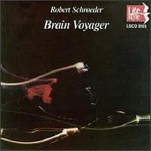 Brain Voyager