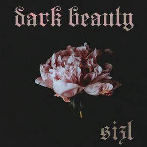 Dark Beauty (Explicit)
