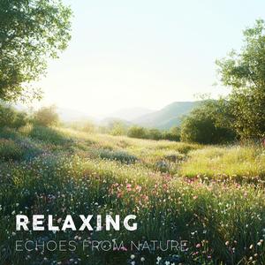 Relaxing Echoes from Nature