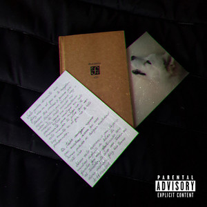 Nuestras Fotos (Explicit)