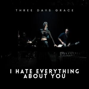 I Hate Everything About You