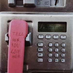 Tell Her You Love Her (Demo)