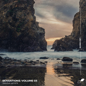 Portals in Bloom (Original)