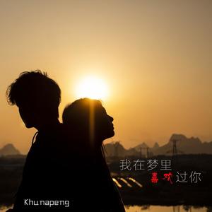 我在梦里喜欢过你