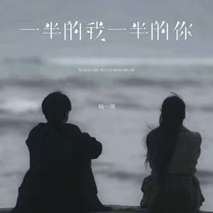 一半的我一半的你