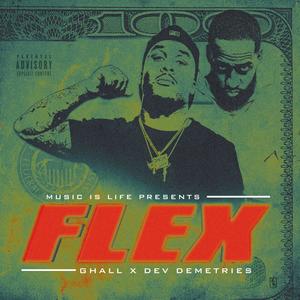 FLEX (feat. Dev Demetries) [Explicit]