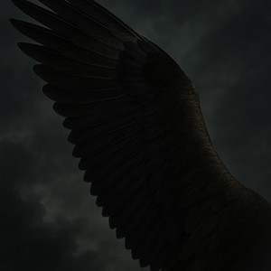 Arquétipo da Águia