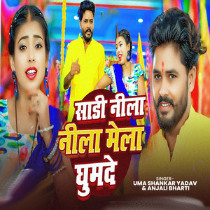 Shadi Neela Neela Mela Ghumade