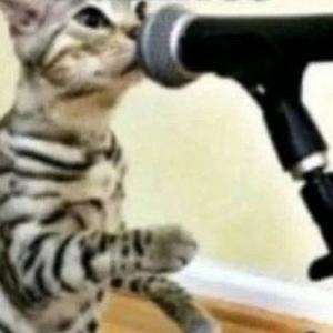 kurt cobain (feat. fempunk) (Explicit)