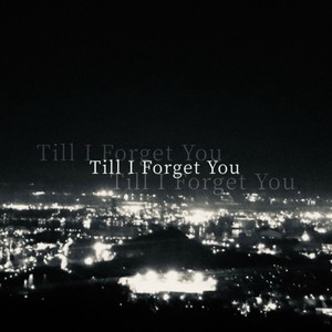Till I Forget You