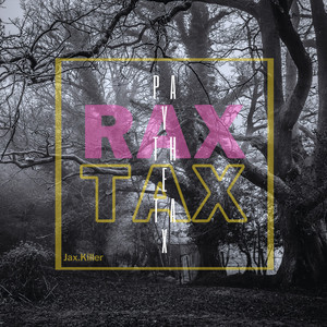 Pay The Tax Radio Edit (Explicit)