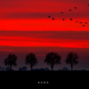 Untitled - 1 (Explicit)