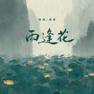 雨逢花 (伴奏)