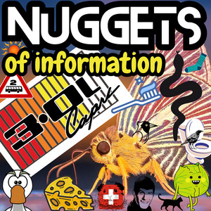 Nuggets of Information