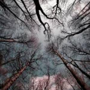 blame (down) (Explicit)