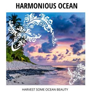 Harmonious Ocean - Harvest Some Ocean Beauty