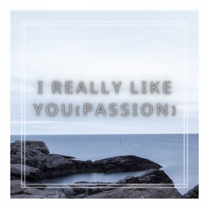 I Really Like You-Ovoo