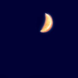 moonlight