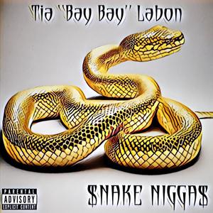 Snake Niggas (Explicit)