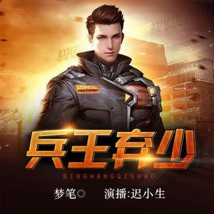兵王弃少 1160 盛世婚礼，天下大同（完结）-畅读书城