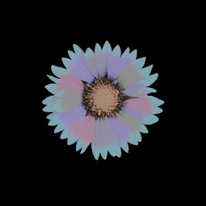 Solstice (feat. Breymer & Cottonbelly) (Cottonbelly Dub)