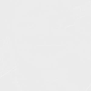 apaixonar (feat. rob1nknn)