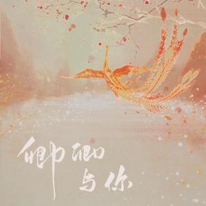 卿卿是你