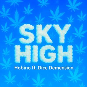 Sky High (feat. Dice Demension) [Explicit]