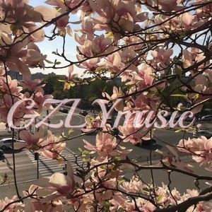 歌者林言 - 一起走过的日子