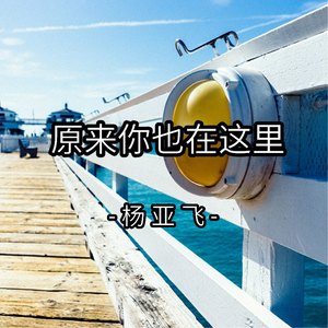 原来你也在这里 (Remix)
