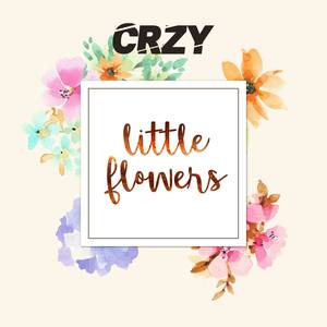 Little Flowers