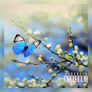 Ambition 2 C Blue Butterflies Deluxe (Explicit)