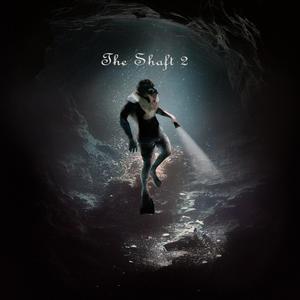 The Shaft 2