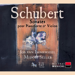 Sonate pour pianoforte et violon No. 3 in G Minor, Op. 137 No. 3, D. 408 - Violin Sonata No. 3 in G Minor, Op. 137 No. 3, D. 408: II. Andante