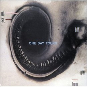 국내음악 One Day Tours (omnibus)