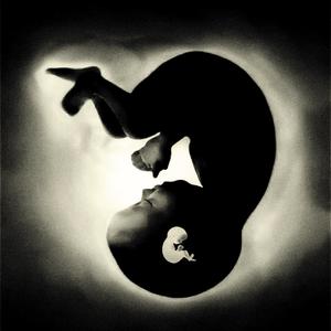 Heavy (with. Rose of Sharon)