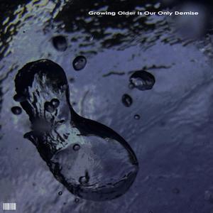 Habit (feat. Zeegur)