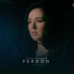 Perdón (Acústico)