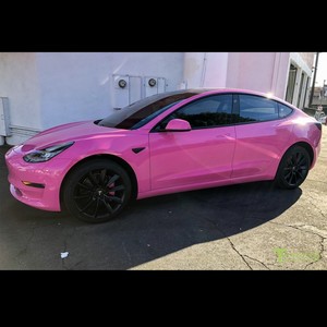 Pink Tesla (Explicit)