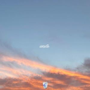 waste (Explicit)