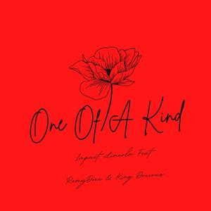 One Of A Kind (feat. Remydmc & King Docious) [Explicit]