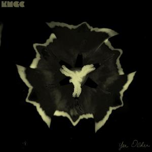 Yer Older (A Live Take)