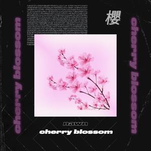 Cherry Blossom