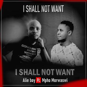 I Shall Not Want (feat. Mpho Morwaswi)