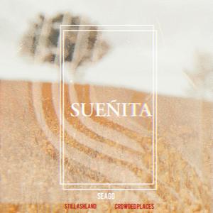 Sueñita (feat. Crowded Places & STILL ASHLAND)