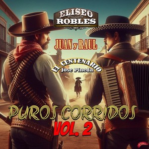 Puros Corridos, Vol. 2